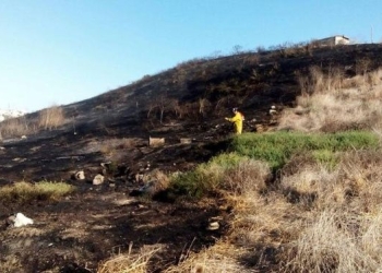 Incendios forestales en Tijuana