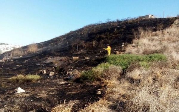 Incendios forestales en Tijuana