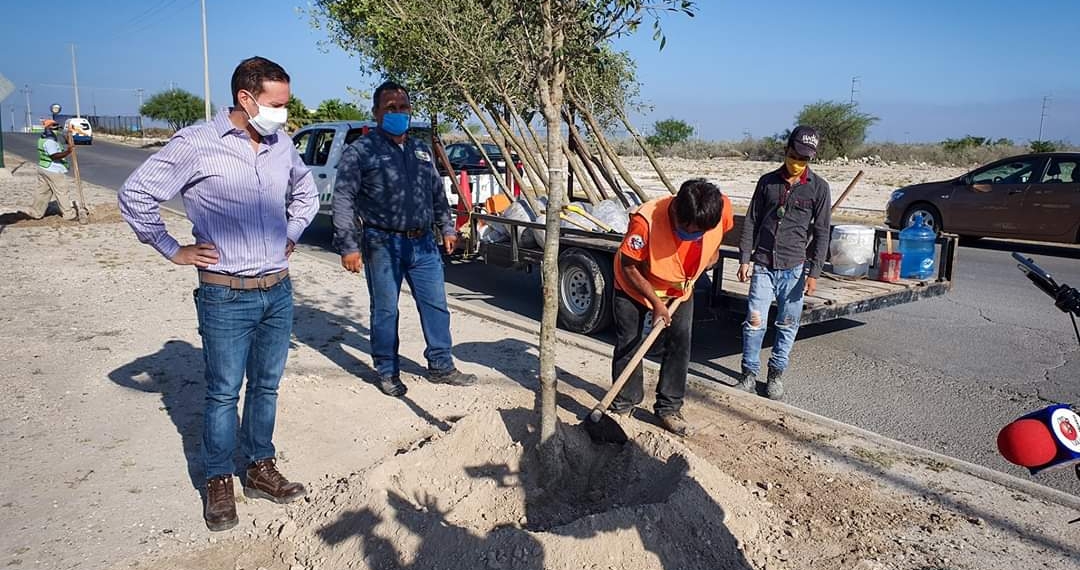 Continúa municipio con programa de reforestación