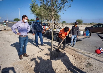 Continúa municipio con programa de reforestación