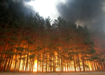 Incendios forestales se quintuplican en Rusia