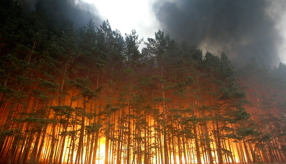 Incendios forestales se quintuplican en Rusia