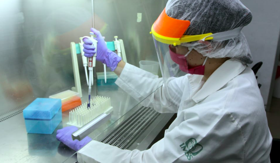 Desarrolla IMSS vacuna contra coronavirus basada en anticuerpos