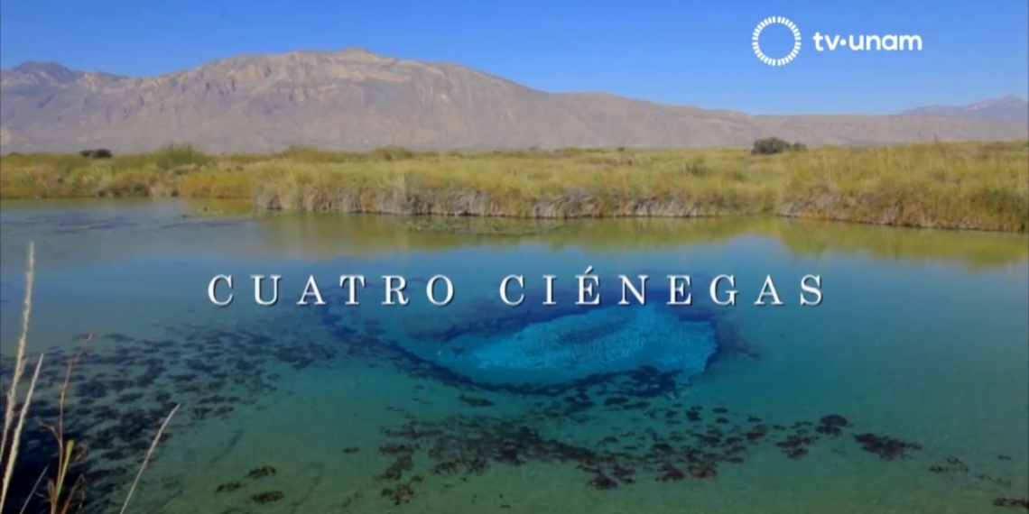 “Cuatro Ciénegas”, una película sobre el origen de la vida