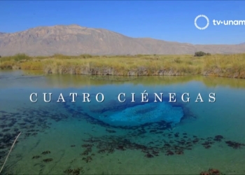 “Cuatro Ciénegas”, una película sobre el origen de la vida