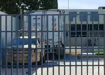 SEDENA decomisa droga en camión de paquetería