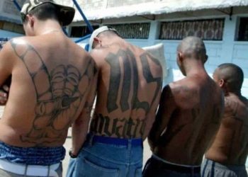 EU acusa por primera vez de terrorismo a miembro de ‘Mara Salvatrucha’