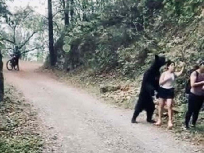 Alzan la voz para defender al oso de la selfie en NL