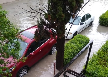 Saltillo ¿sabes nadar?