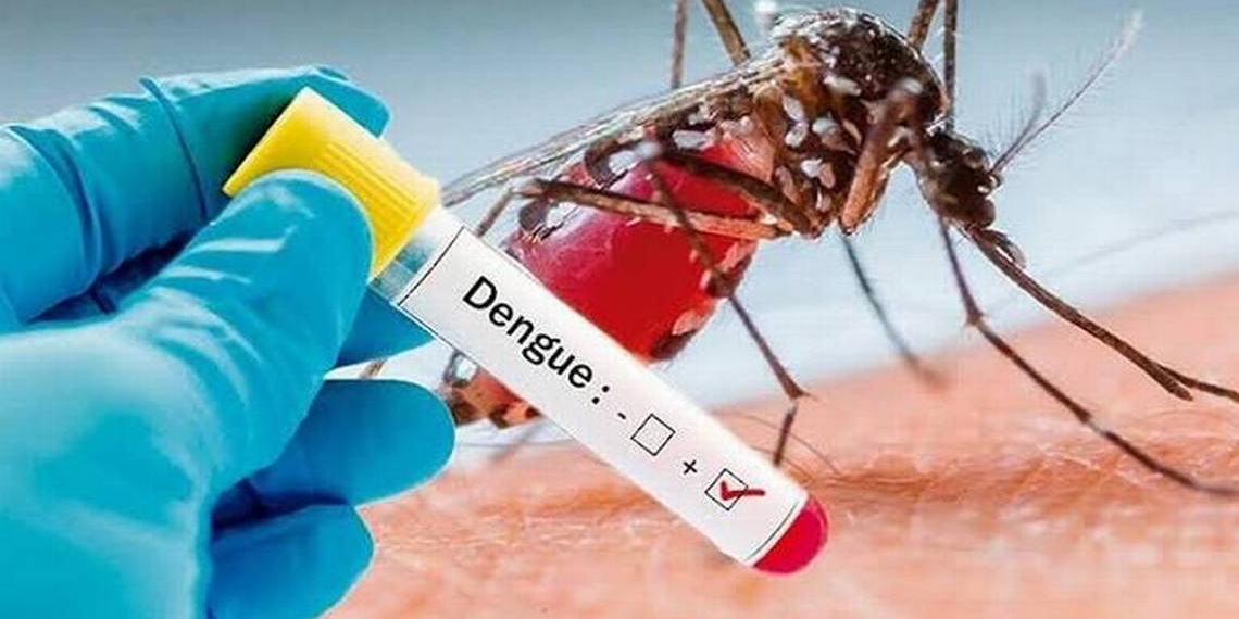 Además del covid-19, el dengue ya está aquí