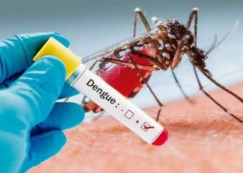 Además del covid-19, el dengue ya está aquí
