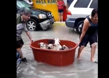 Familia traslada a perros en tina durante inundación en Reynosa