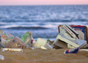 Reapertura de turismo deja 19 toneladas de basura en las playas de Mazatlán