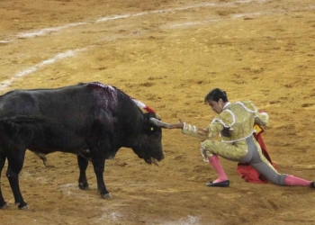 Buscaban prohibir entrada de niños a corridas de toros, pero…