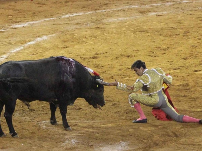 Buscaban prohibir entrada de niños a corridas de toros, pero…