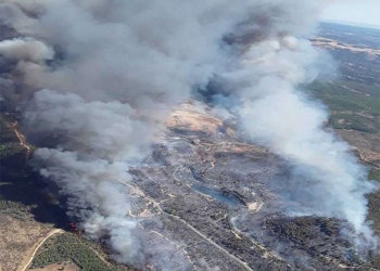 Evacuan a más de 2 mil personas en España por incendio forestal