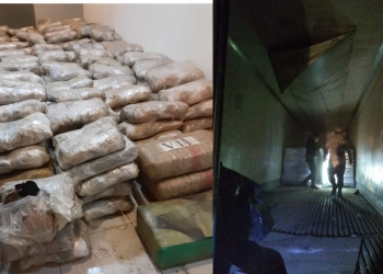 Marina y Guardia Nacional aseguran casi 700 kilos de mariguana en Baja California