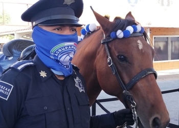 Piden desaparecer  la Policía Montada