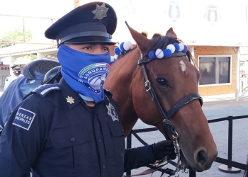 Llega la Policía Montada y también la Antimotines