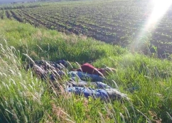 Asesinan a siete hombres en Jerécuaro, Guanajuato