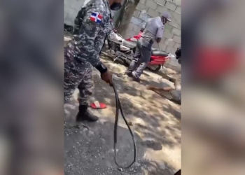 Suspenden a policías dominicanos por abuso