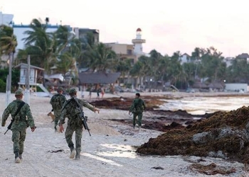Semar recolecta 13 mil toneladas de sargazo en Quintana Roo