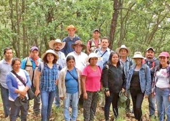 Becarán otro año más a ‘ninis’; Programa de Jóvenes será por dos años