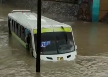 Atrapados entre el agua