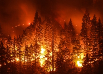 Cientos de hectáreas son consumidas por el fuego en Estados Unidos