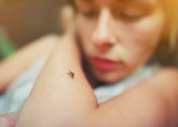 Dallas reporta sus dos primeras muertes por virus del Nilo en este 2020