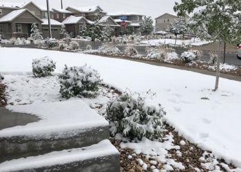 Sorprende primera nevada de la temporada en Denver y ciudades de Colorado