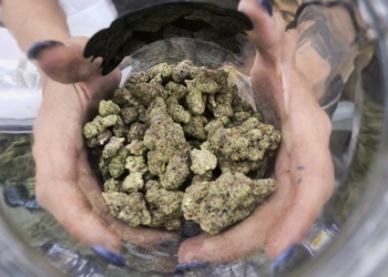 Van 4 estados de EU por legalización de mariguana