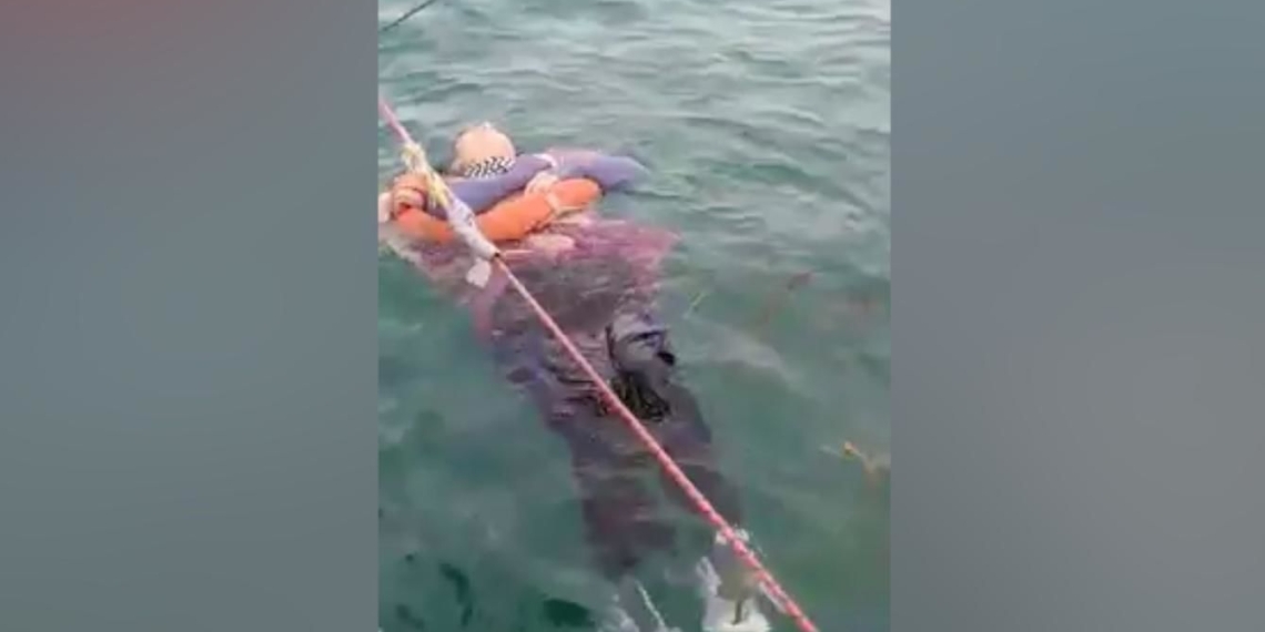 Huyó de su casa hace dos años; la encontraron en medio del mar