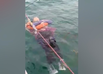 Huyó de su casa hace dos años; la encontraron en medio del mar