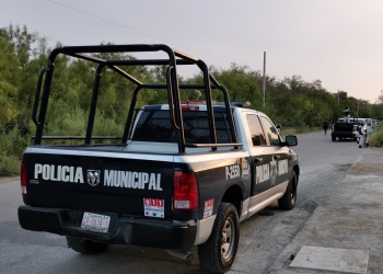Judicializarán a cuatro por halconeo