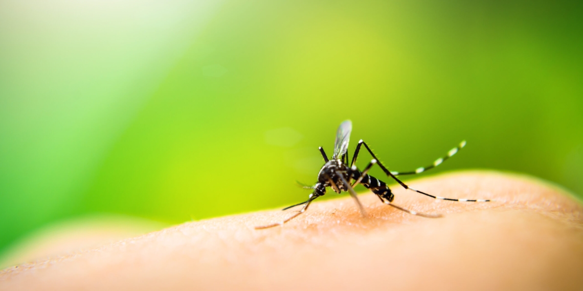 Se registra segundo caso de dengue en PN