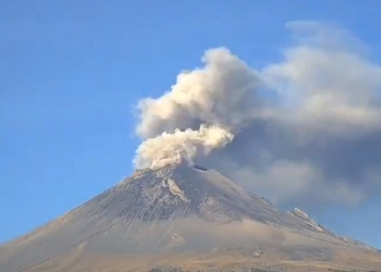 Emisiones del Popocatépetl elevan columnas de hasta 700 m