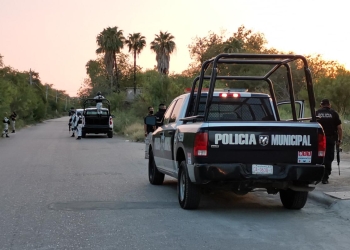 Investigan a halcones