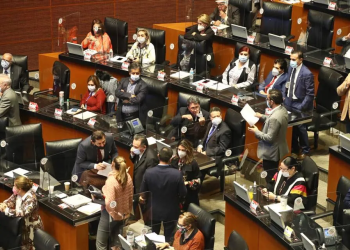 Senado rechaza vigilancia tecnológica del fisco federal