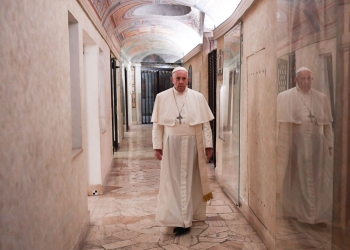El papa Francisco expresa su dolor por el atentado de Viena