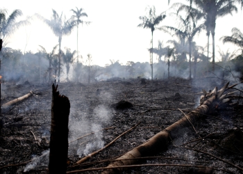 Bolsonaro se compromete ante G20 a proteger la Amazonía