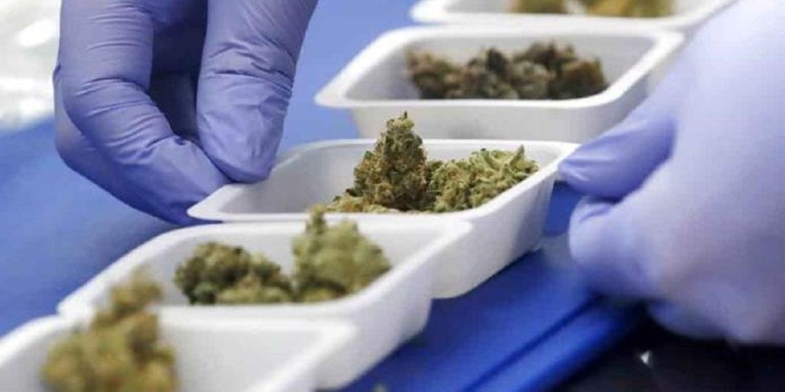 México aplicará impuesto especial a la mariguana, confirma Hacienda