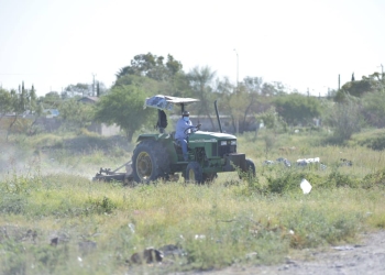Realizarán limpieza en el Arroyo la Hormiga