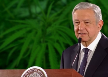 AMLO pide que ciudadanía “actué con responsabilidad” ante legislación sobre la mariguana