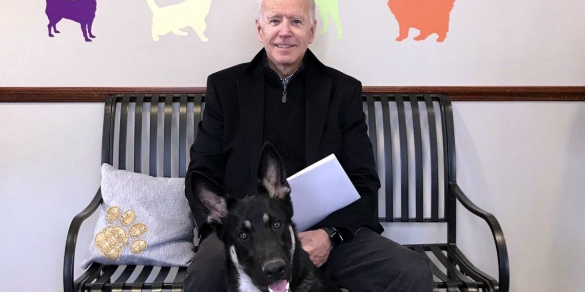 Médico confirma fractura en el pie de Joe Biden tras resbalar al jugar con su perro