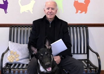 Médico confirma fractura en el pie de Joe Biden tras resbalar al jugar con su perro