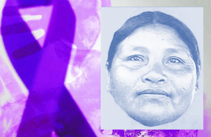 Reabrirán caso de Ernestina Ascencio, presuntamente violada y asesinada por elementos del Ejército