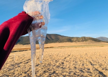 Arteaga bajo hielo