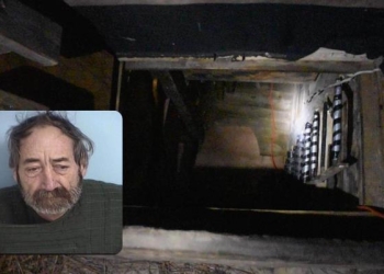Detenido por pornografía infantil en Florida tenía bunker secreto