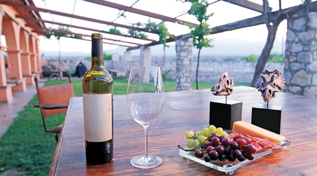 Ruta Vinos & Dinos ha tenido buena aceptación entre los turistas